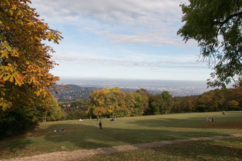 3Hour Outdoor Budapest Normafa Hike&History With a Historian - The Bus Ride to Normafa: Trading City Noise for Forest Quiet