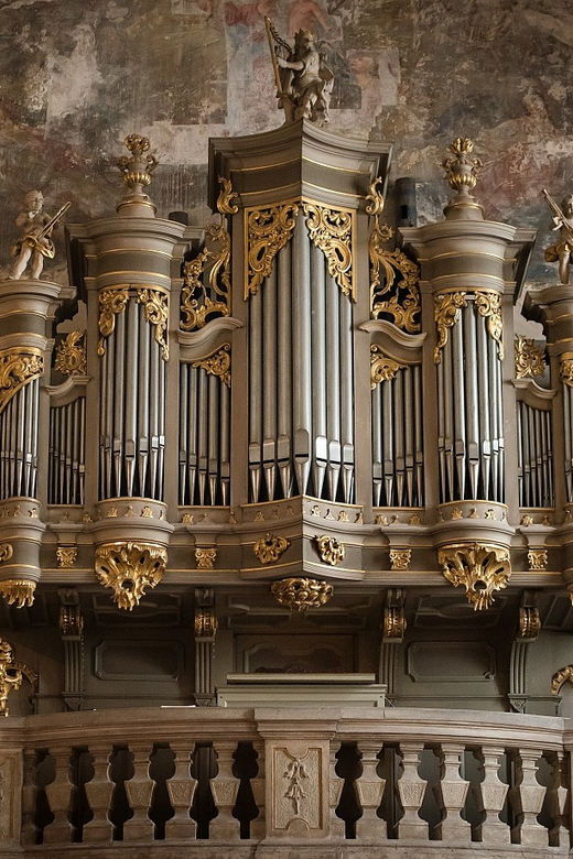 Budapest: Concert on the Oldest Working Organ in the City - Who should book this concert, and who might skip it?