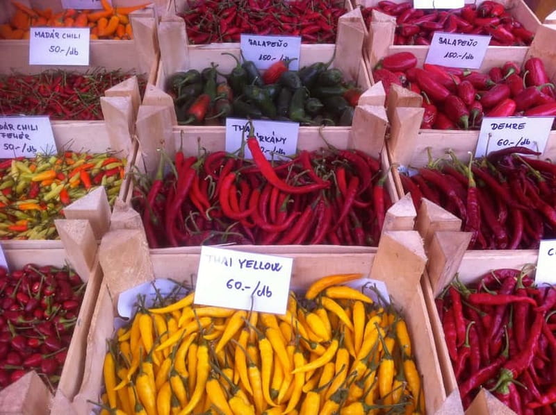 Budapest Culinary & Wine Walk—Budapest’s Signature Food Tour - Key things to know before you go