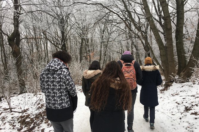 Budapest Hike - Walking the Buda Mountains With a Guide Who Talks Like a Local