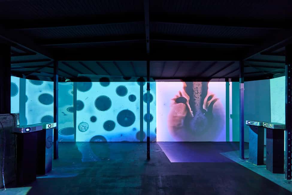Budapest: Light Art Museum - Immersive New Media Experience - Standout installation: the airlock dome (and why you lie down)