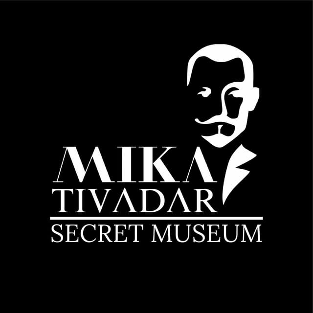 Budapest: Mika Tivadar Secret Museum Entry Ticket - Who should book this museum ticket?