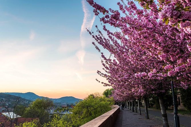 Budapest Private Walking Tour - Hotel pickup at 9:30: why this start matters more than you think
