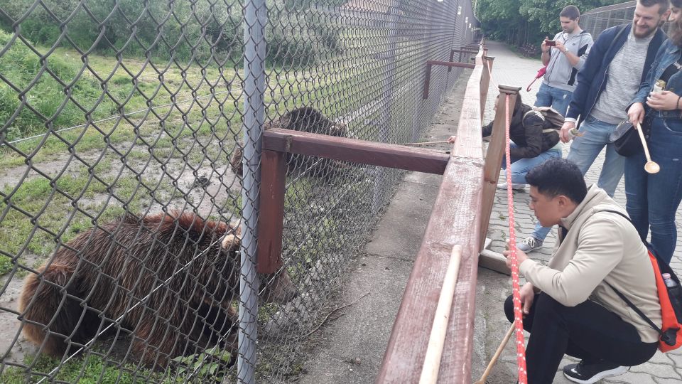 Budapest: Transport & Guided Tour of Bear and Wolf Sanctuary - Key highlights worth your attention