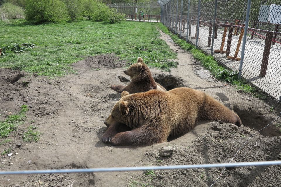 Budapest: Transport & Guided Tour of Bear and Wolf Sanctuary - From Batthyány tér to the countryside: the ride that matters