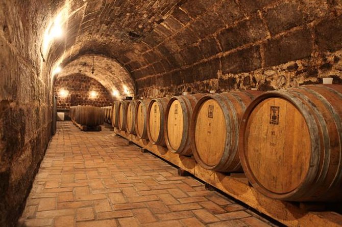Countryside Half-day Gastro-Wine Tour from Budapest Meal & pickup - Key things worth knowing before you go