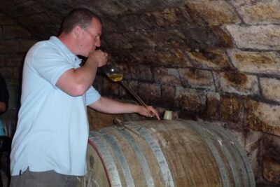 Countryside Half-day Gastro-Wine Tour from Budapest Meal & pickup - How the winery visits feel: meeting families, not just staff