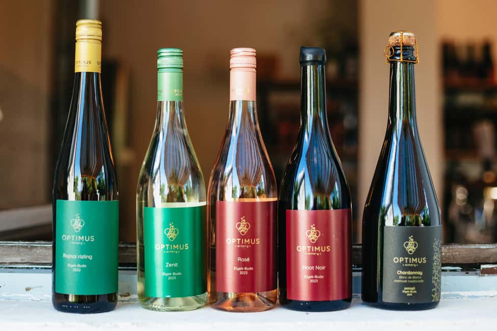 From Budapest: Etyek Wine Tasting Tour with 3-Course Meal - Who this tour fits best (and who might want a different style)