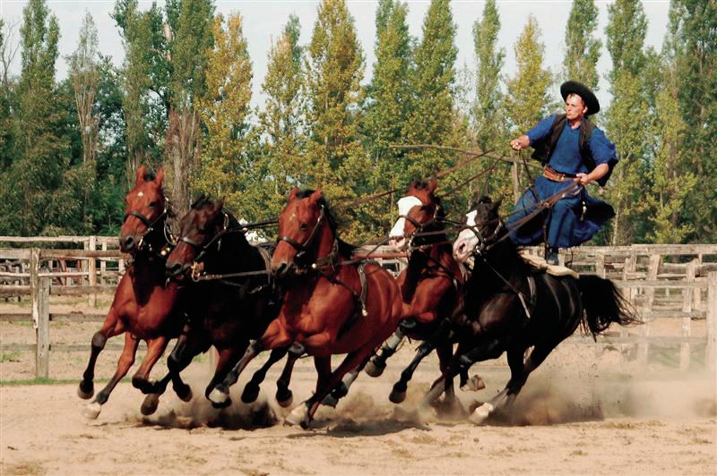 From Budapest: Full-Day Puszta Tour with Lunch and Show - From Budapest to the Great Plain: the feel-change you came for