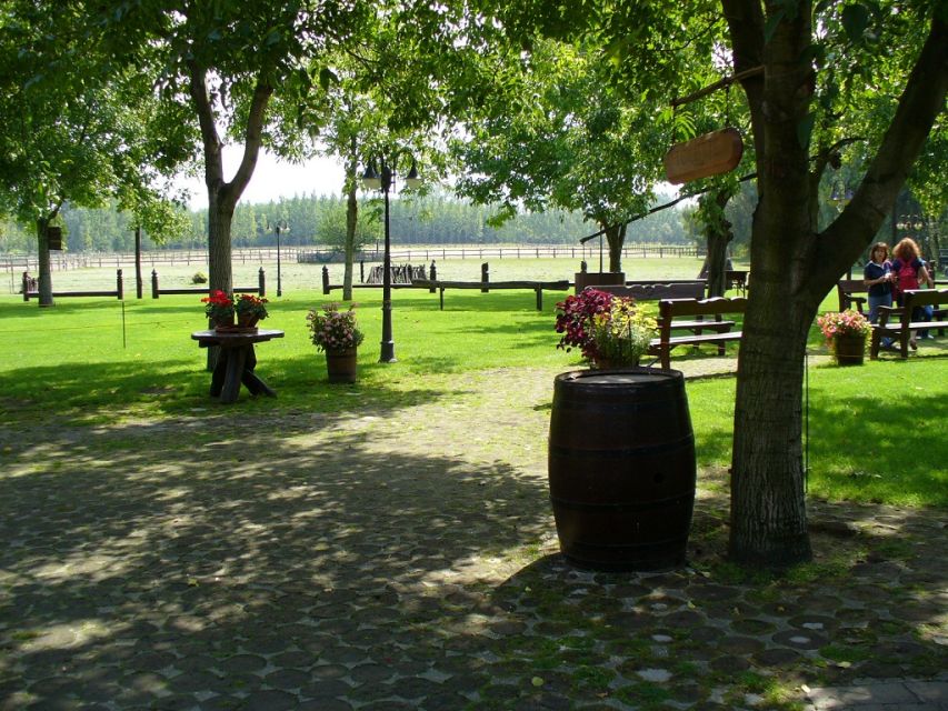From Budapest: Full-Day Puszta Tour with Lunch and Show - Lajosmizse ranch arrival: pálinka, horses, and the real rhythm