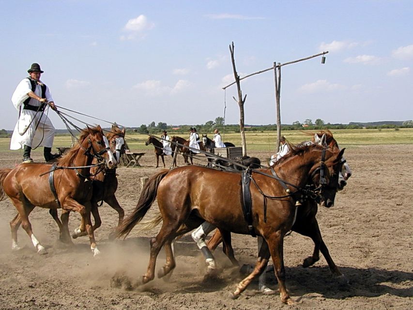 From Budapest: Full-Day Puszta Tour with Lunch and Show - The carriage ride and horse show: what you’re really paying for