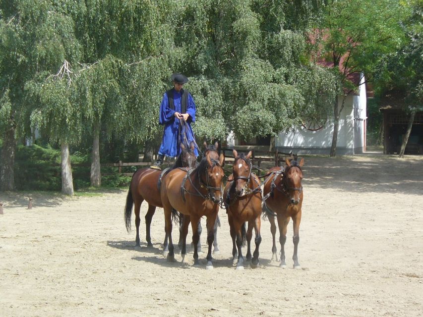 From Budapest: Full-Day Puszta Tour with Lunch and Show - Price and value: is $133 fair for what you get?