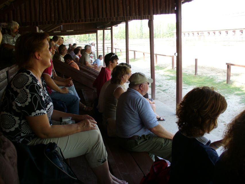 From Budapest: Full-Day Puszta Tour with Lunch and Show - Who this Puszta day trip suits best