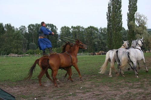 From Budapest: Puszta Horse Show and Countryside Visit - Kecskémét on a guided walk: bell music, town views, and focused free time