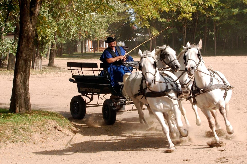 From Budapest: Puszta Horse Show and Countryside Visit - Price and logistics: what $133 buys you in real terms