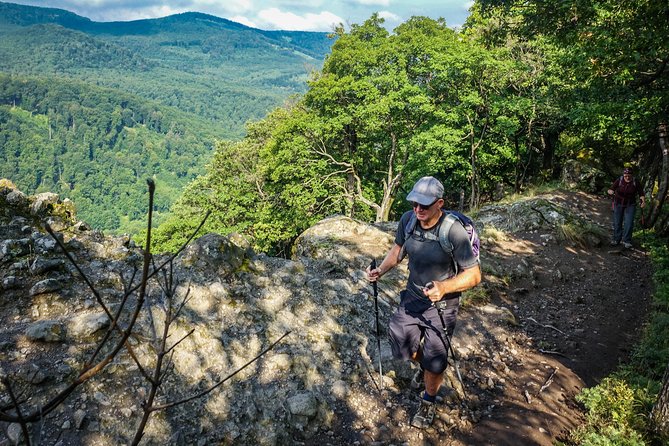 One Day Wonder Hiking Trip - The circuit back: finishing through forest paths