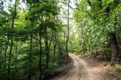 Panoramic hike around Budapest - The chairlift option: when it saves your legs