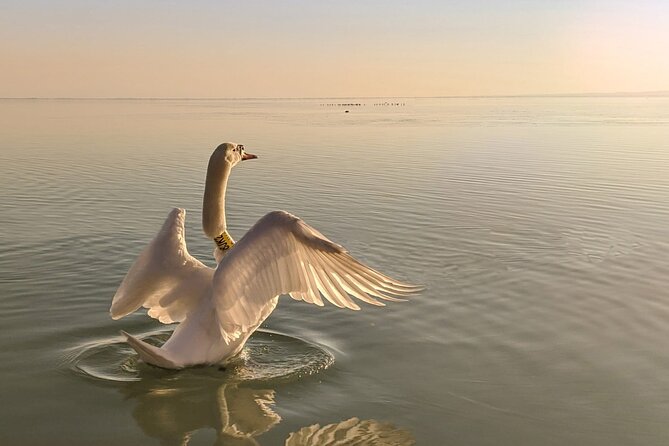 Private tour from Budapest to a top hidden treasure region of Europe: Lake Balaton - Stop 3: Balatonfüred’s Promenade and Villa Vibes