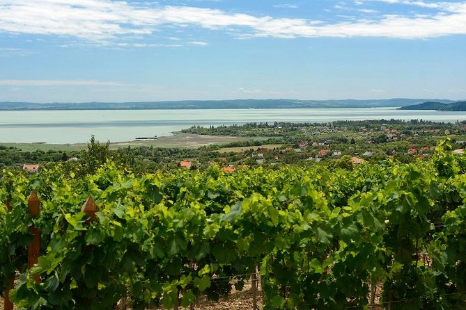 Private tour from Budapest to a top hidden treasure region of Europe: Lake Balaton - Stop 6: Szántód–Tihany Ferry Crossing Back Across the Lake