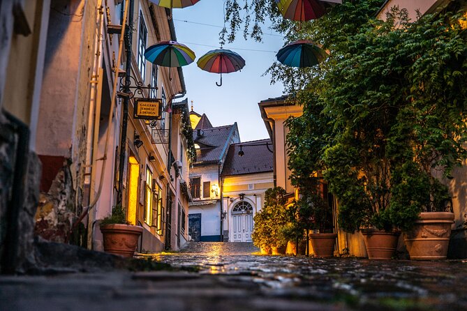 Scenic Danube River bend hills & the Art Town: Private Car Tour - Danube Bend by private car: the best way to get out fast