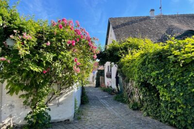Szentendre Daytrip (Artists' Village) small group - Danube views, Danube tributary moments, and the town’s softer rhythm